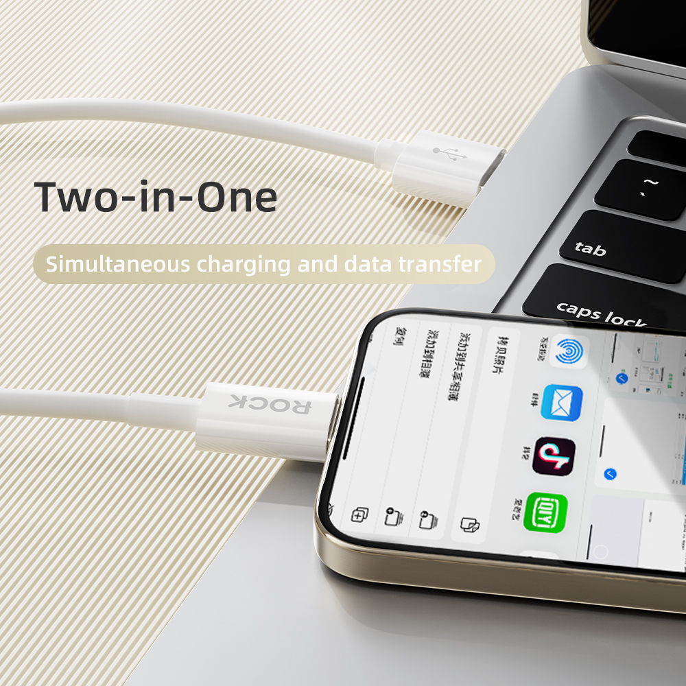REGO Communication Sdn Bhd - Rock Space | ROCK P8 Basic series USB A-L & A-C Charging Cable 