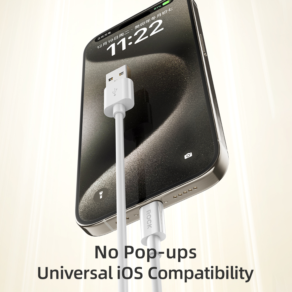 REGO Communication Sdn Bhd - Rock Space | ROCK P8 Basic series USB A-L & A-C Charging Cable 