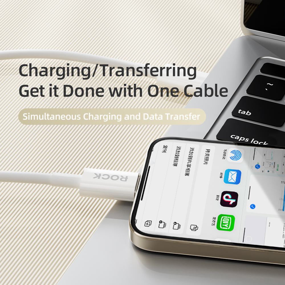 REGO Communication Sdn Bhd - Rock Space | ROCK P8 Basic series Type C to C Charging Cable